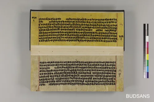 Văn học Sanskrit Phật giáo (10) - Hệ thống kinh Tịnh độ