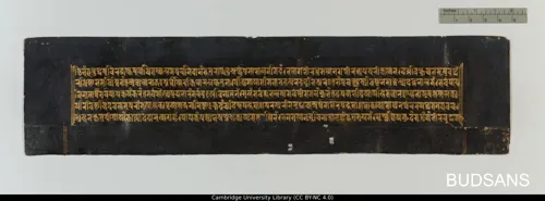Văn học Sanskrit Phật giáo (12) - Hệ thống kinh điển tư tưởng duy thức và Như Lai tạng
